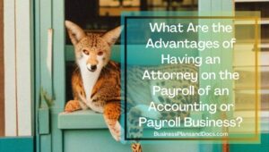 Do You Need an Attorney For Your Accounting and Payroll Business?