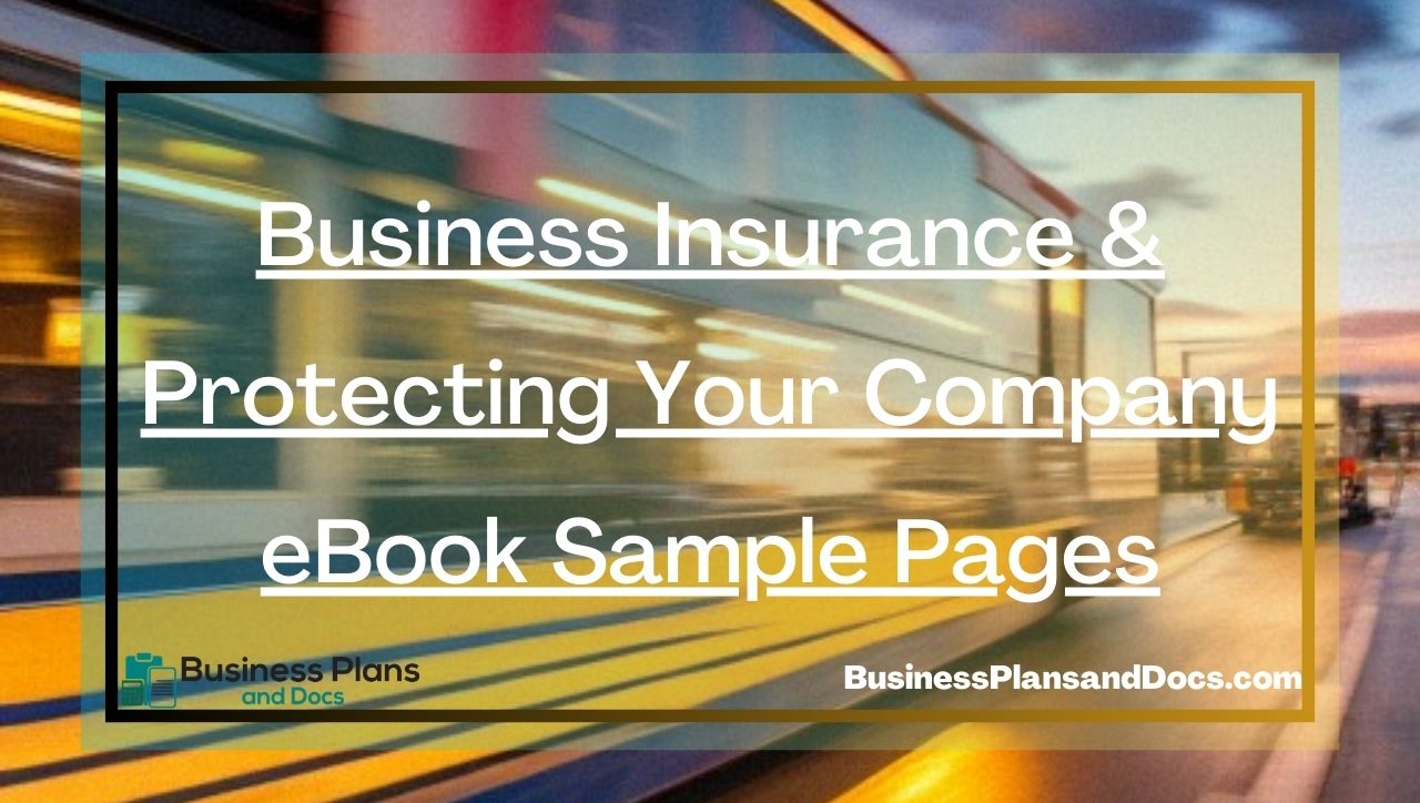 Business Insurance & Protecting Your Company eBook Sample Pages